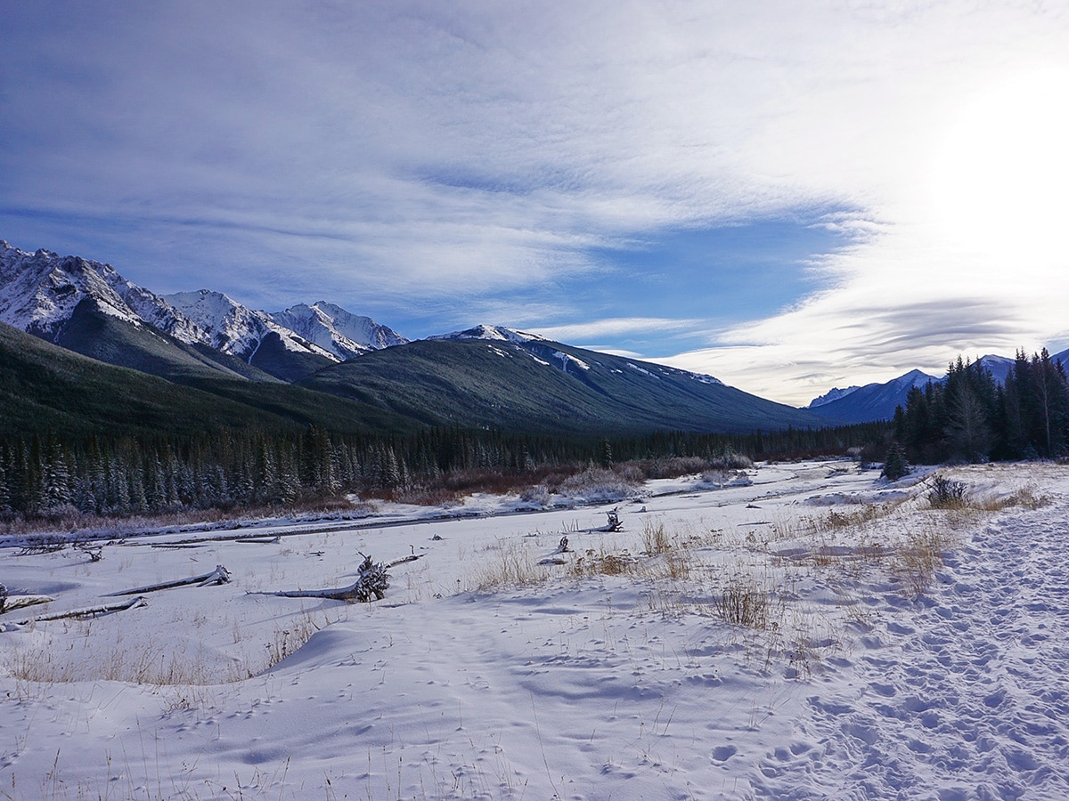 Approaching the meadow on Troll Falls and Hay Meadows snowshoe trail in Kananaskis near Canmore