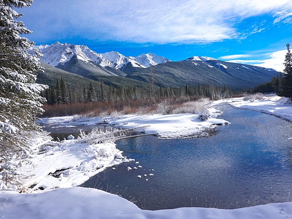 Scenery from Troll falls snowshoeing trail in Kananaskis near Canmore