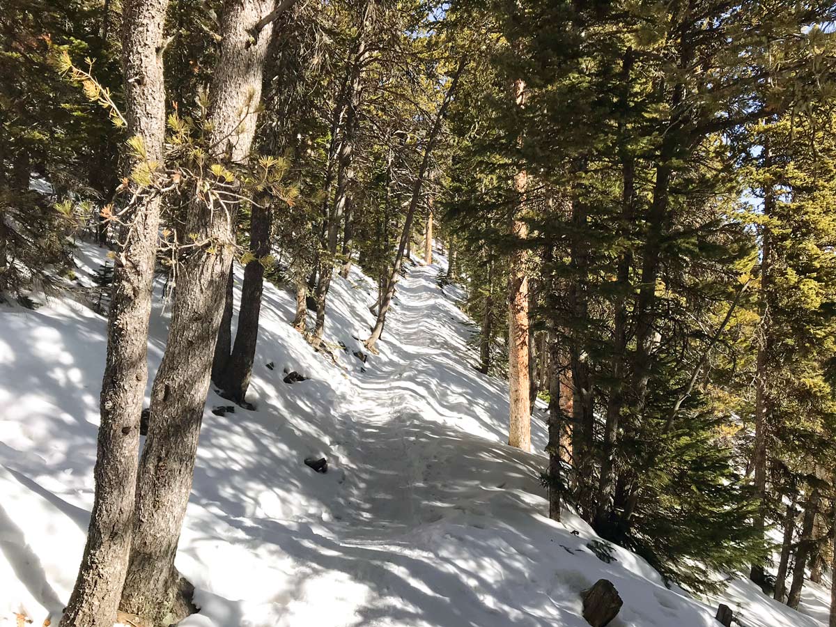 Hiking on Chasm Lake snowshoe trail in Rocky Mountain National Park, Colorado