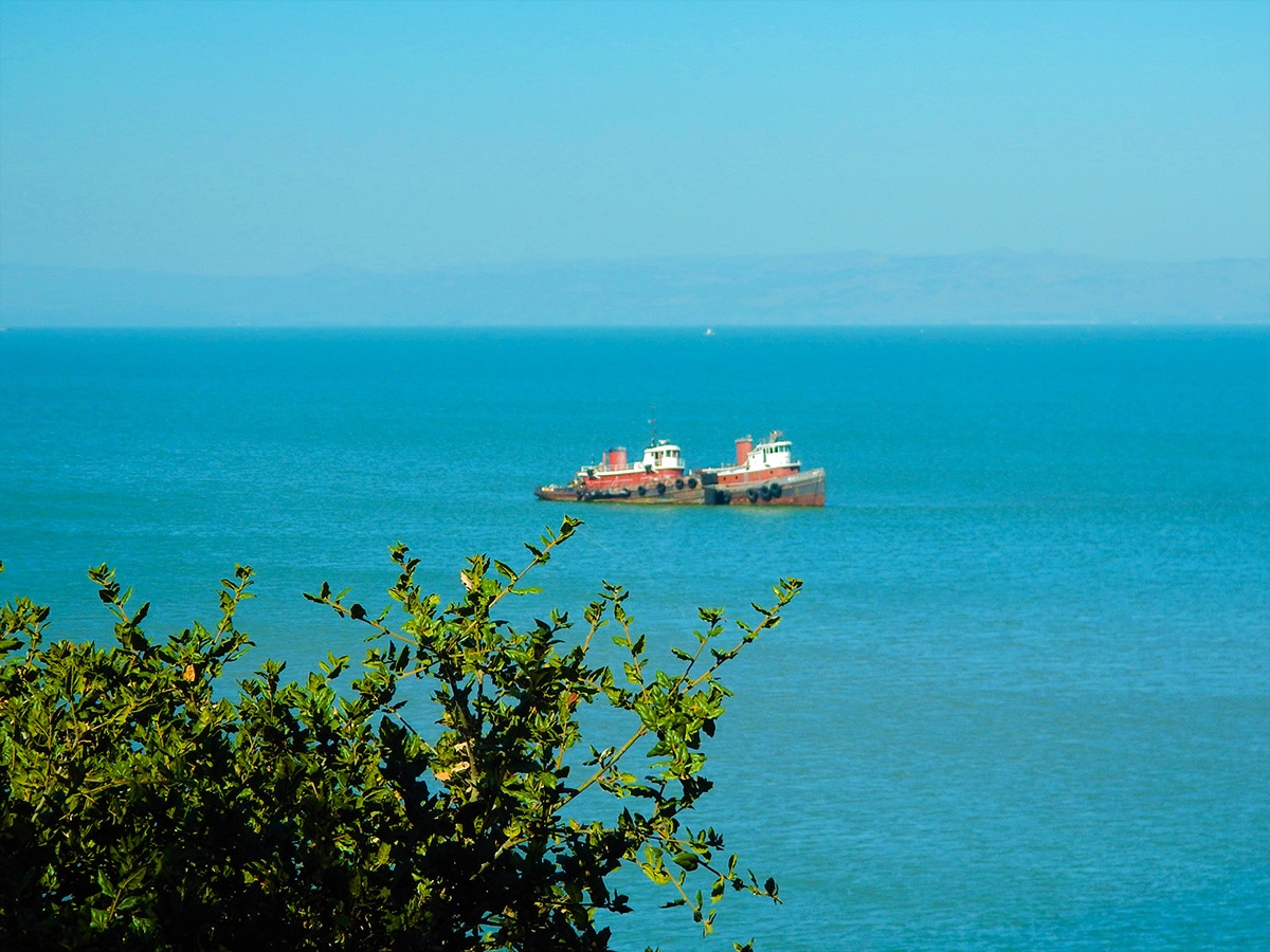 Sunken ships off the coast on China Camp Loop hike in North Bay of San Francisco, California