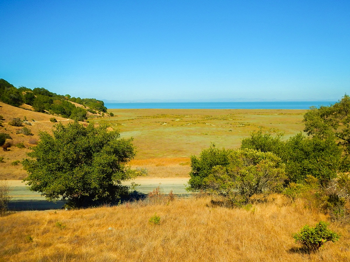 View of the bay on China Camp Loop hike in North Bay of San Francisco, California