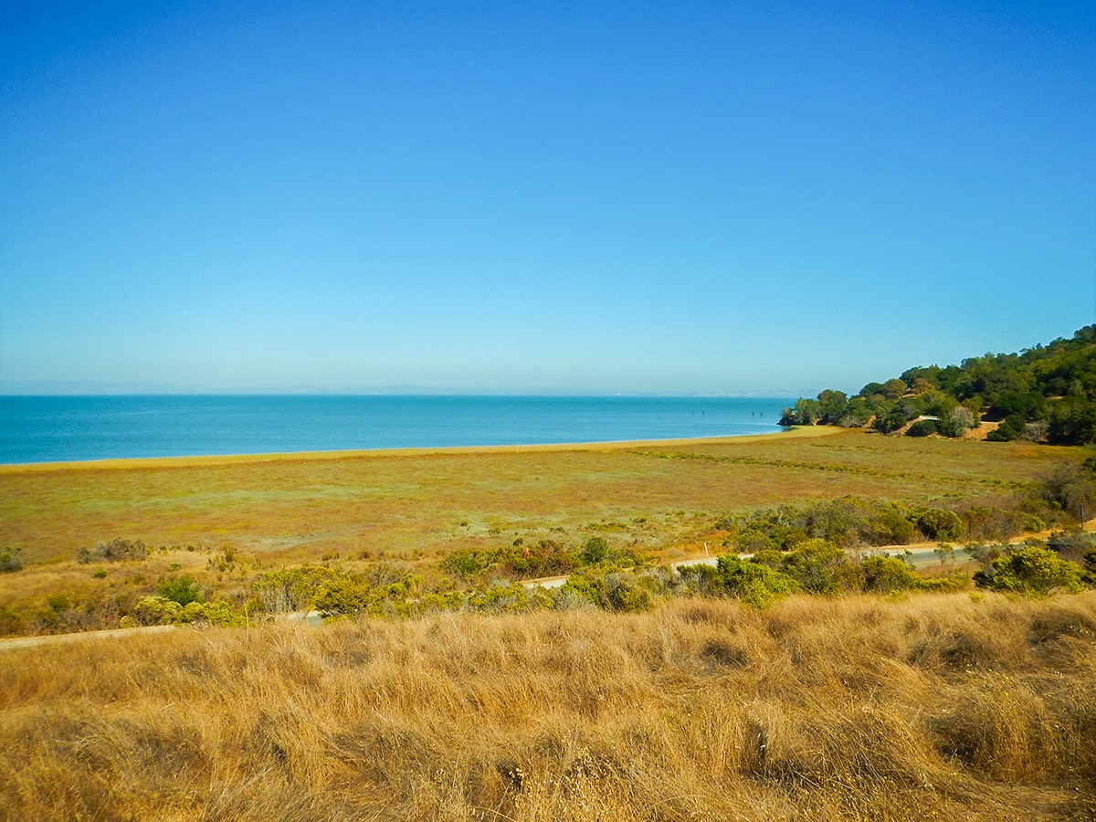 Expansive bay on China Camp Loop hike in North Bay of San Francisco, California