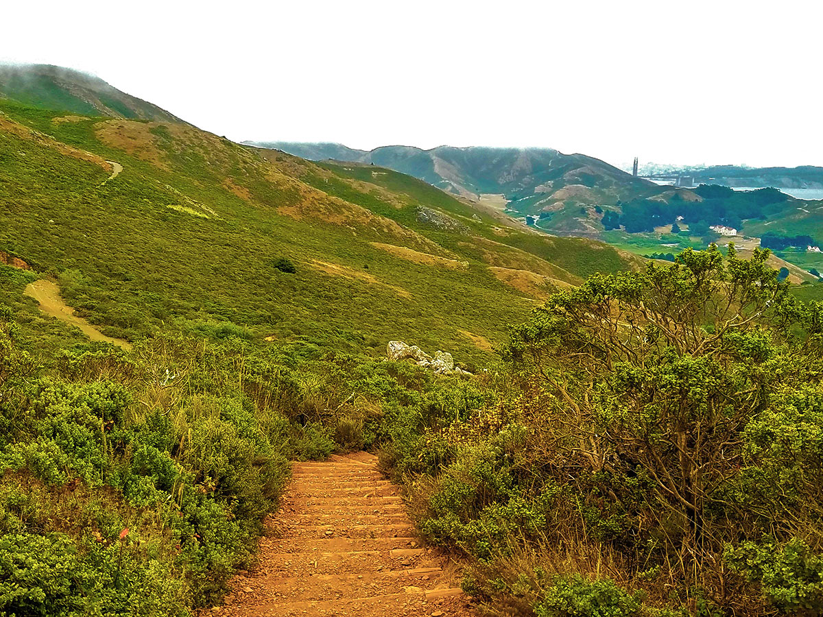 Stairs on Hill 88 Loop hike in North Bay of San Francisco, California