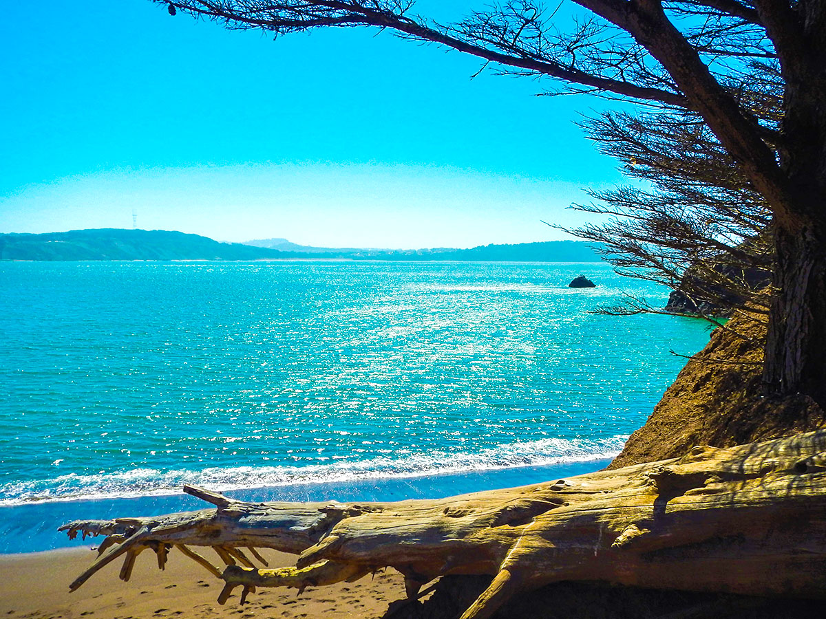 View from picnic bench on Kirby Cove hike in North Bay of San Francisco, California