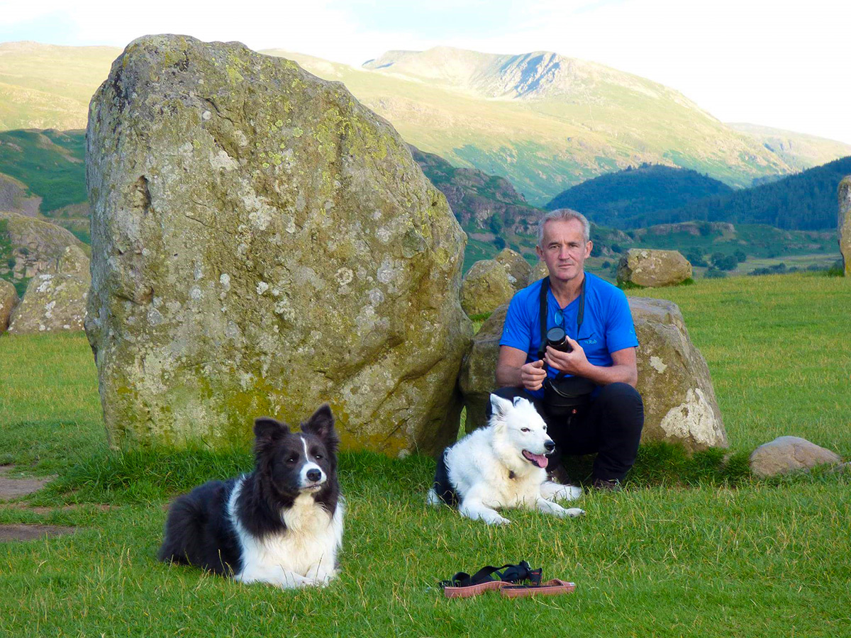 Hiker with two border collies