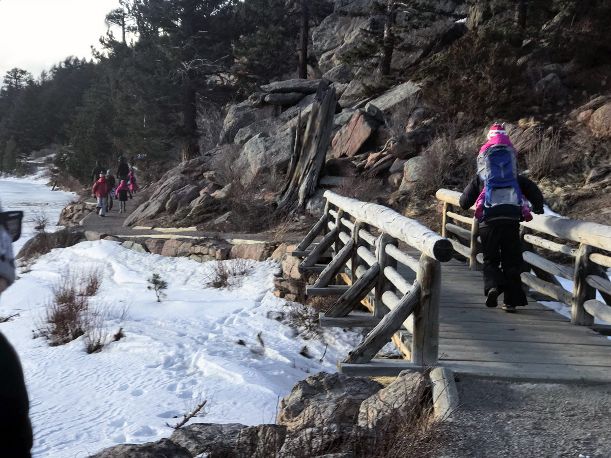 Bridge on Lily Ridge trail in Rocky Mountain National Park, Colorado