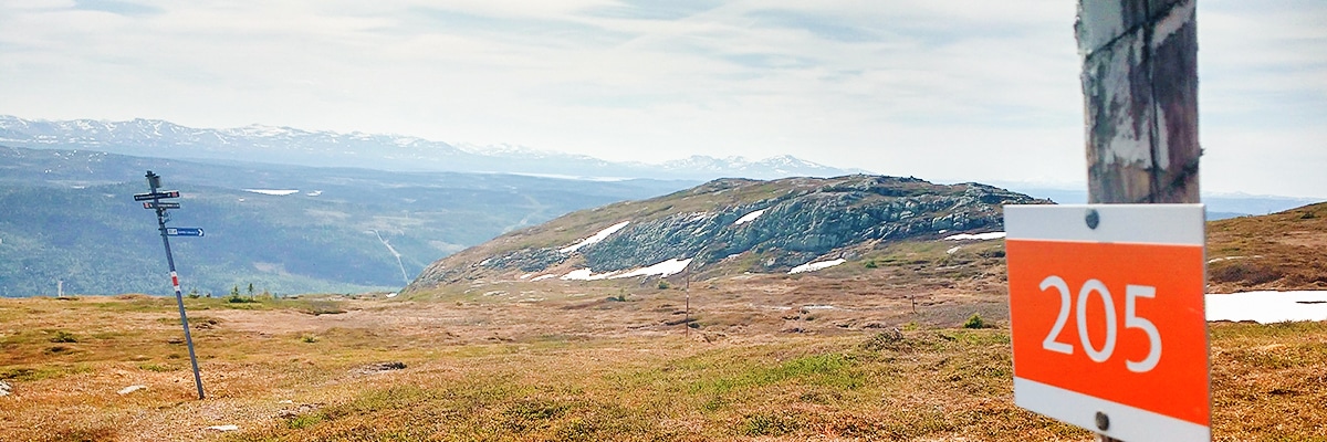 Trail of Mullfjället hike in Åre, Sweden