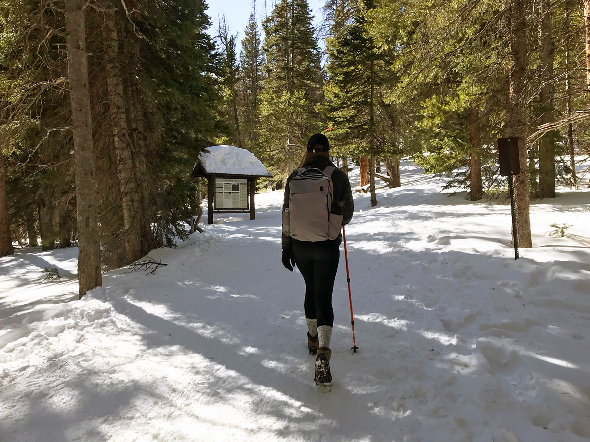 Hiking on Nymph Lake snowshoe trail in Rocky Mountain National Park, Colorado