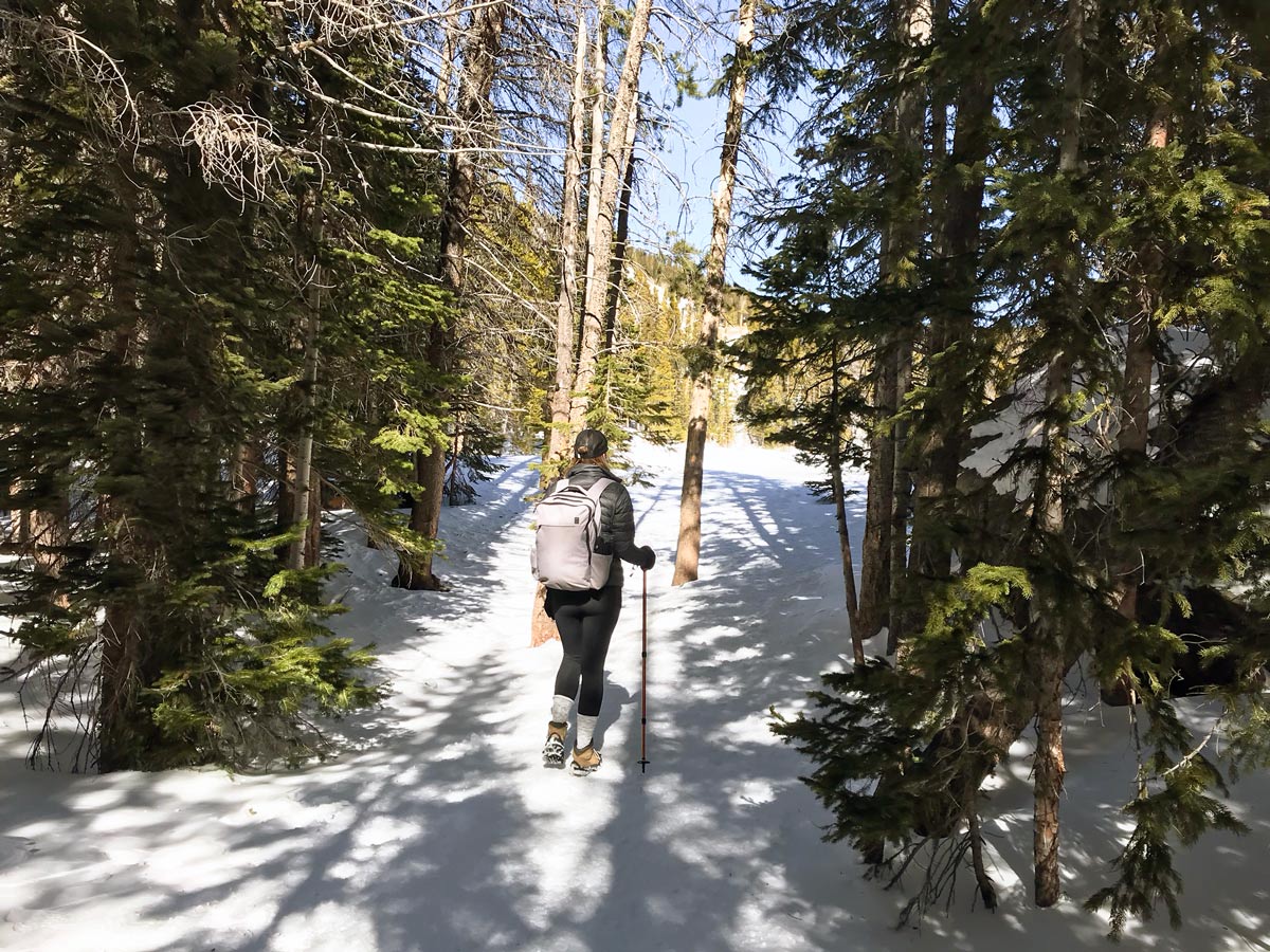 Snowy path of Nymph Lake snowshoe trail in Rocky Mountain National Park, Colorado