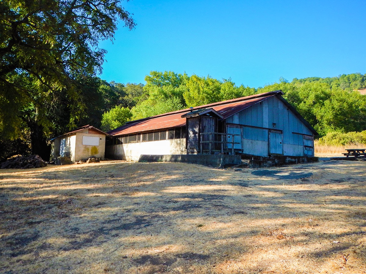 Remains of an old dairy barn on Olompali State Historical Park Loop hike in North Bay of San Francisco, California