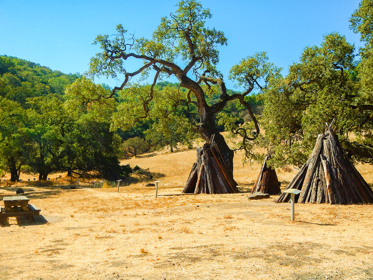 Replica Tipi on Olompali State Historical Park Loop hike in North Bay of San Francisco, California