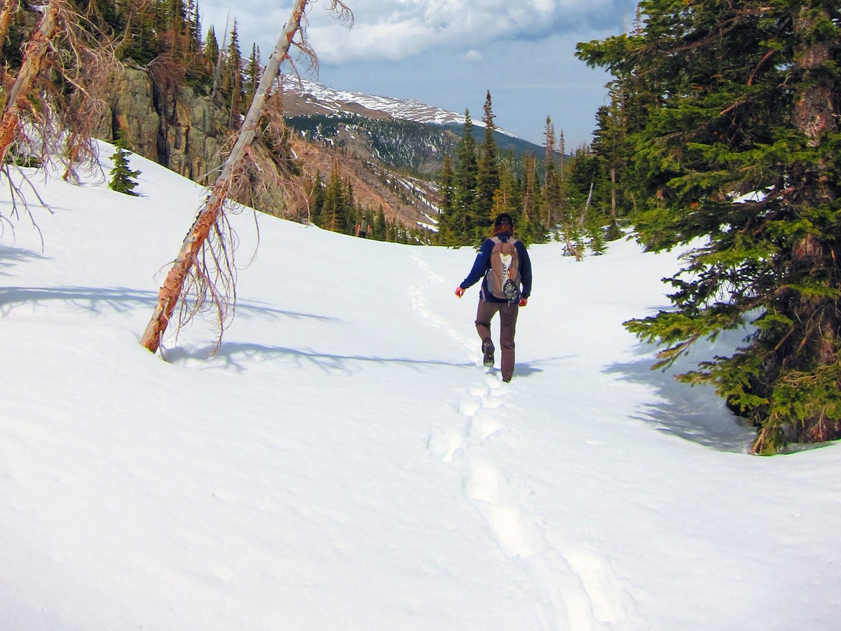 Snowy path of Ouzel Lake snowshoe trail in Rocky Mountain National Park, Colorado