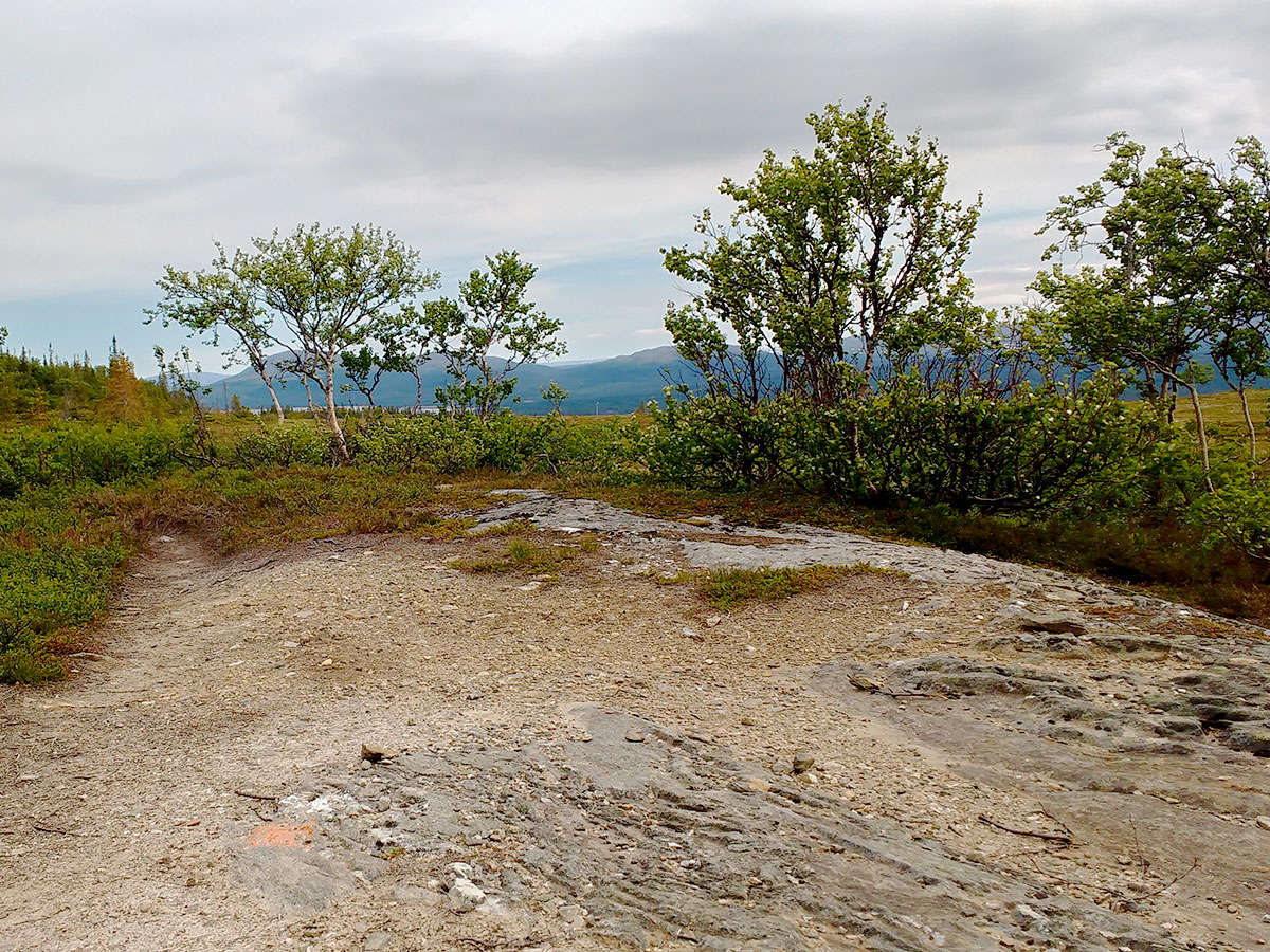 Beautiful trail of Platåleden - Hållvallens hike in Åre, Sweden