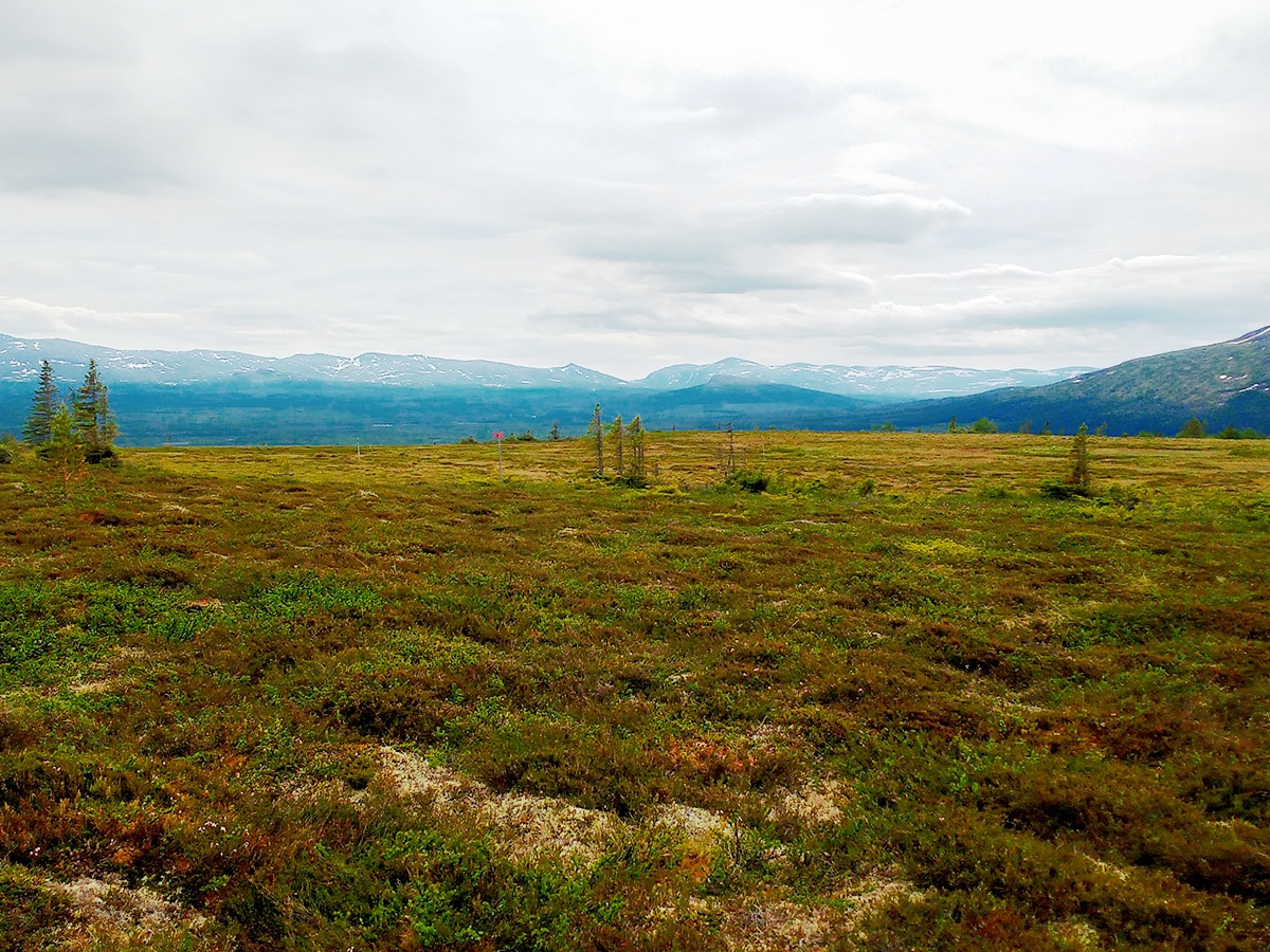 Mires and mountains on Platåleden - Hållvallens hike in Åre, Sweden