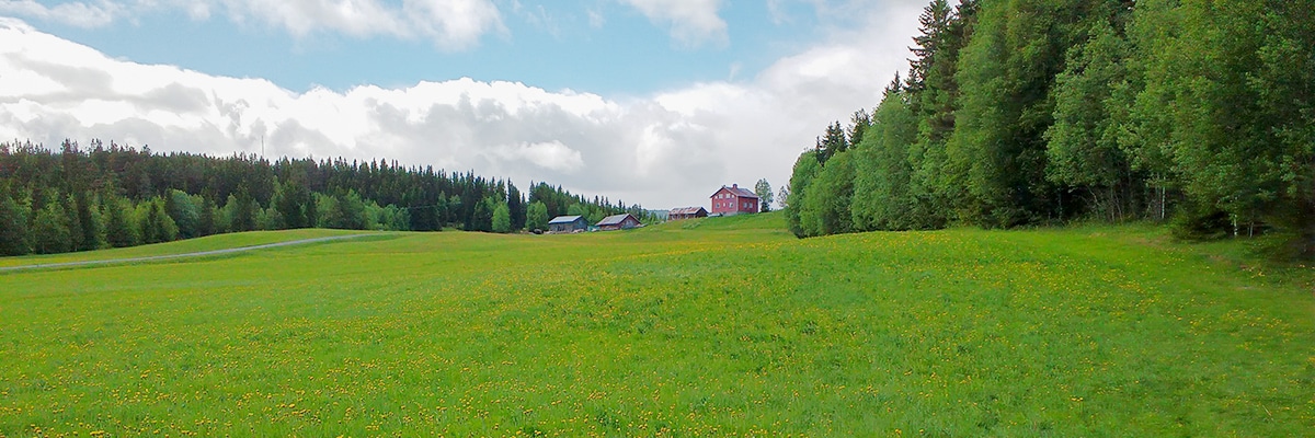 Countryside on Ristafallsrundan hike in Åre, Sweden