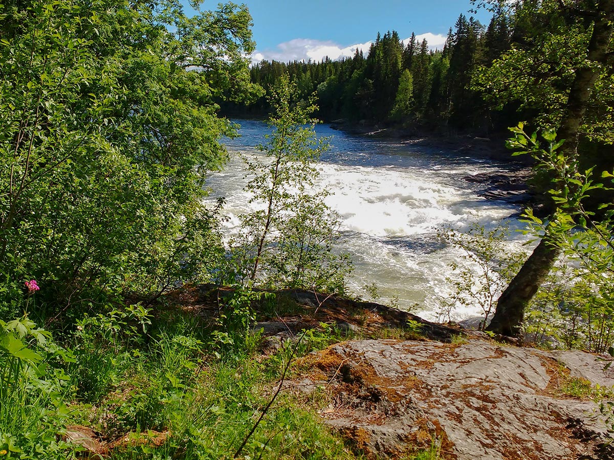 Wild stream near Åre, Sweden