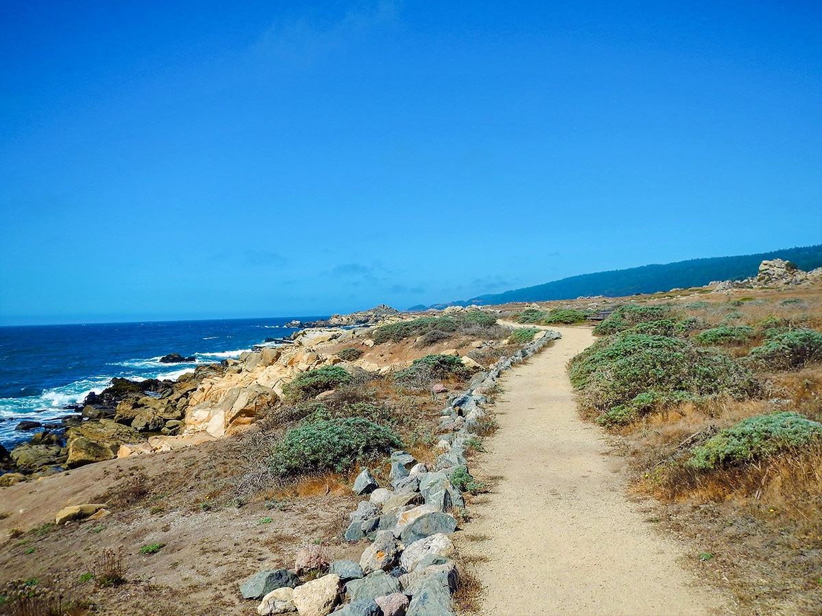 Coastal trail on Salt Point Trail hike in North Bay of San Francisco, California