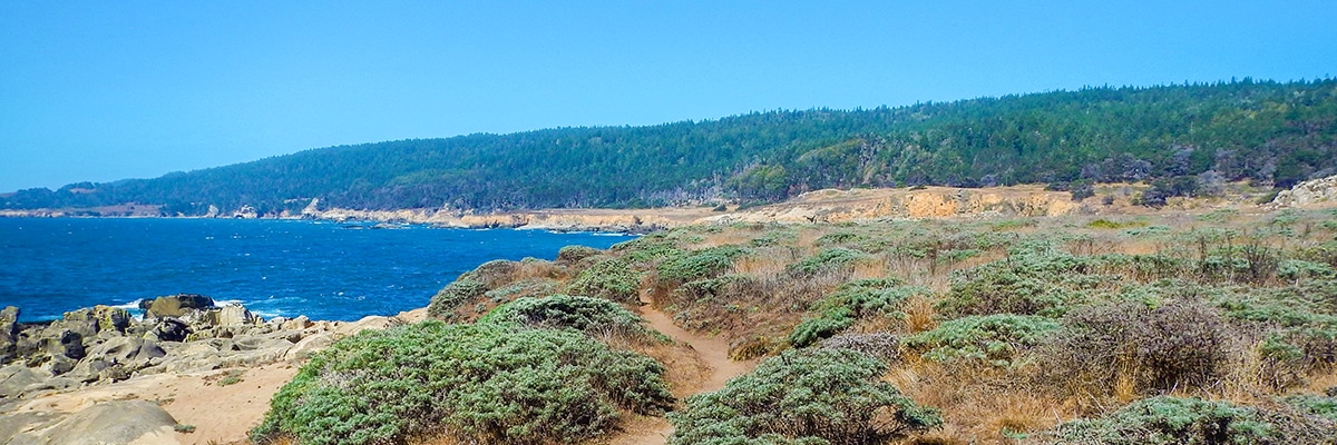 Dirt trail on Salt Point Trail hike in North Bay of San Francisco, California