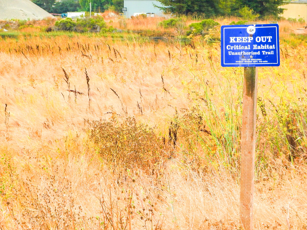 Protected nesting area on Shollenberger Park hike in North Bay of San Francisco, California