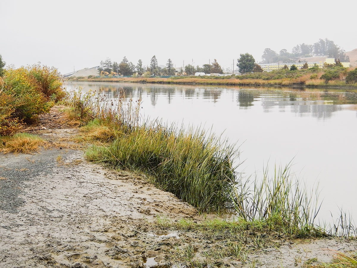 Peaceful view of Inlet on Shollenberger Park hike in North Bay of San Francisco, California