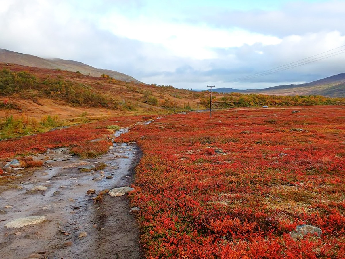 Storulvån-Sylarna hike in Åre (Sweden) has amazing views