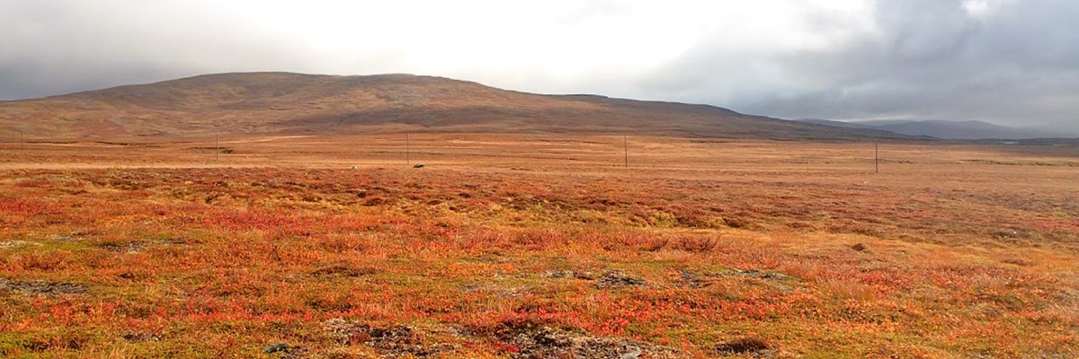 Beautiful Swedish autumn on Storulvån-Sylarna hike in Åre, Sweden