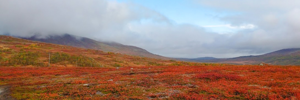 Great views on Storulvån-Sylarna hike in Åre, Sweden