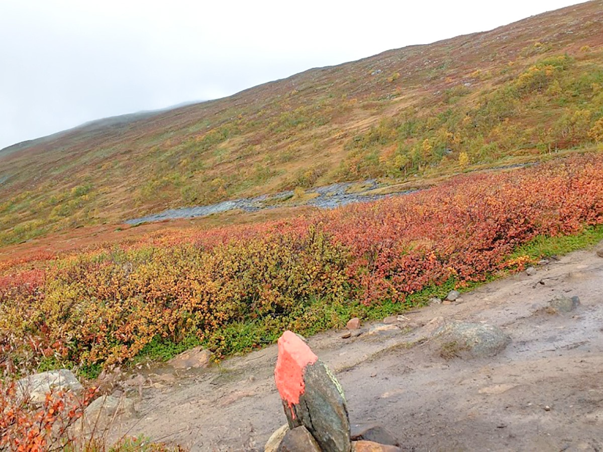 Trail mark on Storulvån-Sylarna hike in Åre, Sweden