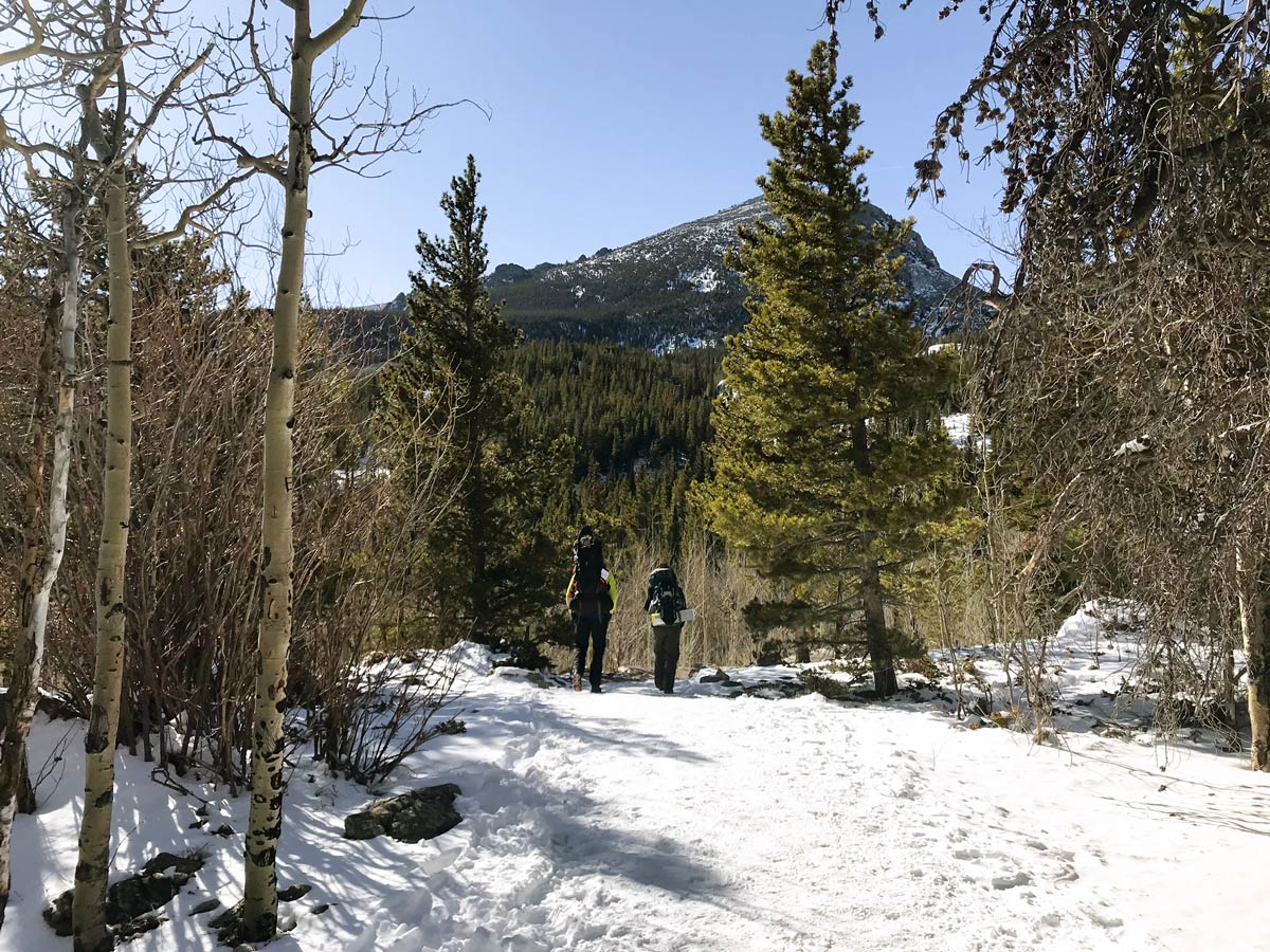 Path through the woods on The Loch snowshoe trail in Rocky Mountain National Park, Colorado