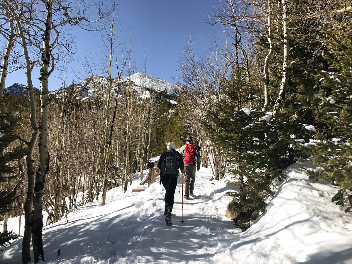 Snow on The Loch snowshoe trail in Rocky Mountain National Park, Colorado