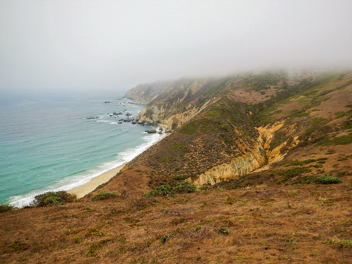 Fog on Tomales Point hike in North Bay of San Francisco, California