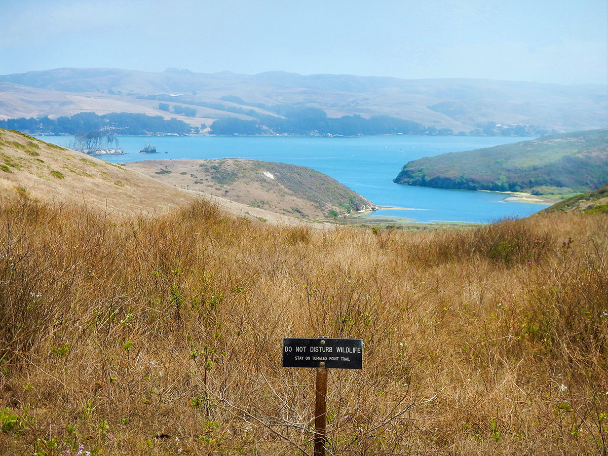 View across the inlet on Tomales Point hike in North Bay of San Francisco, California