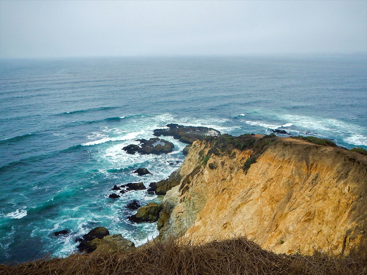 Trail of Tomales Point hike in North Bay of San Francisco, California
