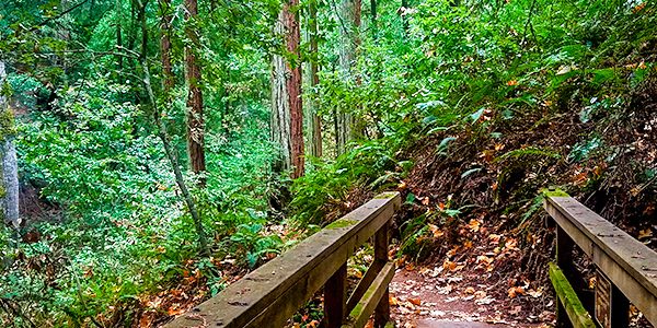 Best hikes in North Bay of San Francisco, California