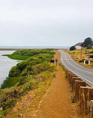 Hill 88 Loop hike in North Bay of San Francisco, California