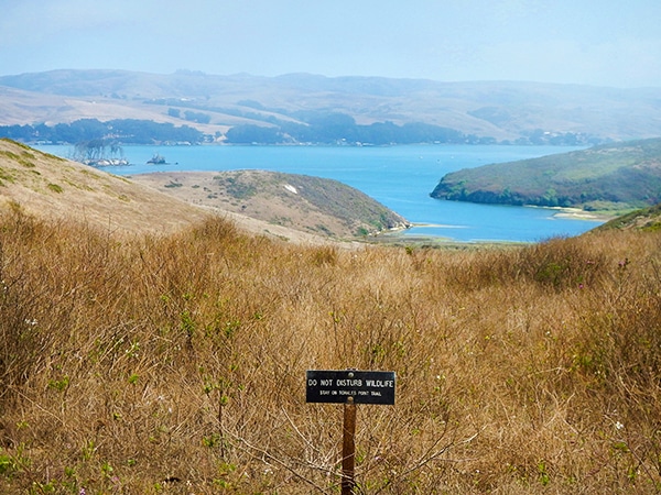 Tomales Point hike in North Bay of San Francisco, California