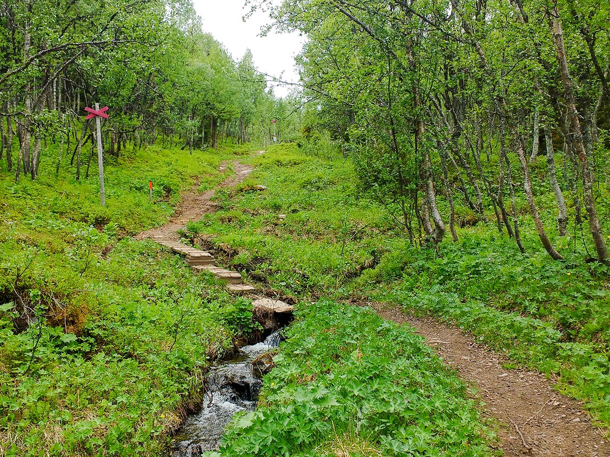 Scenic views on Välliste runt hike in Åre, Sweden