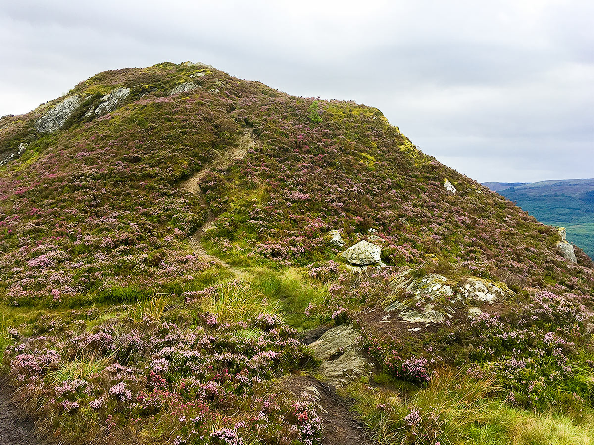 Grassy knoll on Ben A'an hike in Loch Lomond and The Trossachs area in Scotland