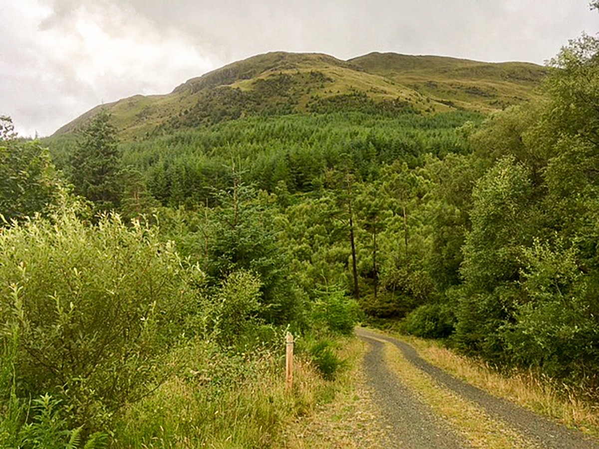 Forestry on Ben Ledi hike in Loch Lomond and The Trossachs region in Scotland