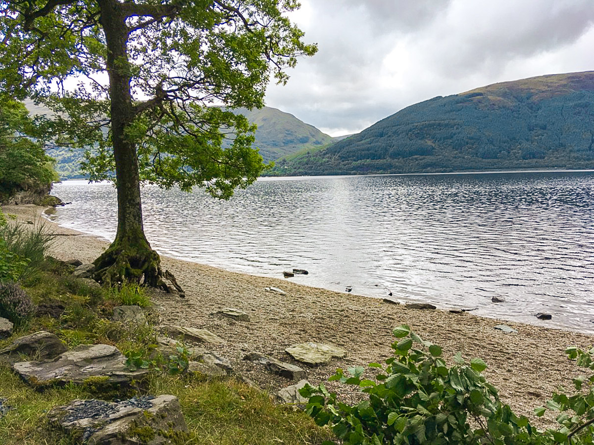 Shores of the lake on Ben Lomond hike in Loch Lomond and The Trossachs region in Scotland