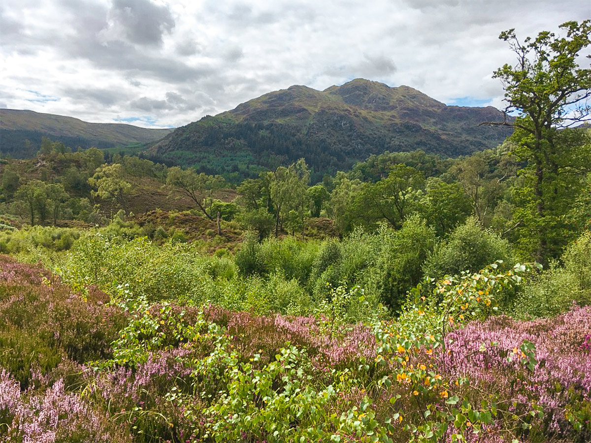 Ben Venue hike in Loch Lomond and The Trossachs region in Scotland