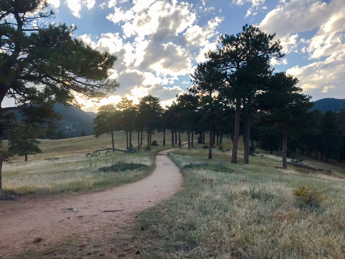Views from Betasso Preserve MTB trail near Boulder, Colorado