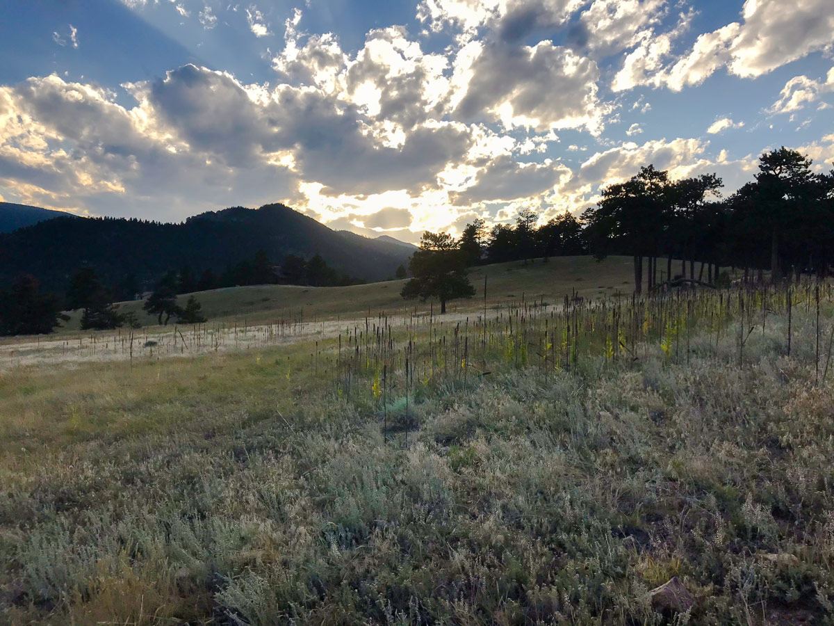 Front range on Betasso Preserve MTB trail near Boulder, Colorado