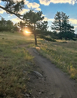 Betasso Preserve mountain biking trail near Boulder, Colorado