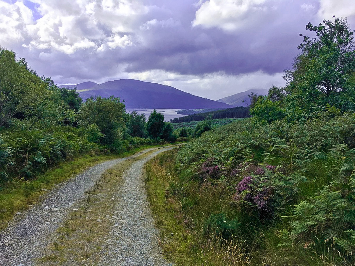 Loch Lomond and Ben Vorlich on Cashel Forest hike in Loch Lomond and The Trossachs region in Scotland