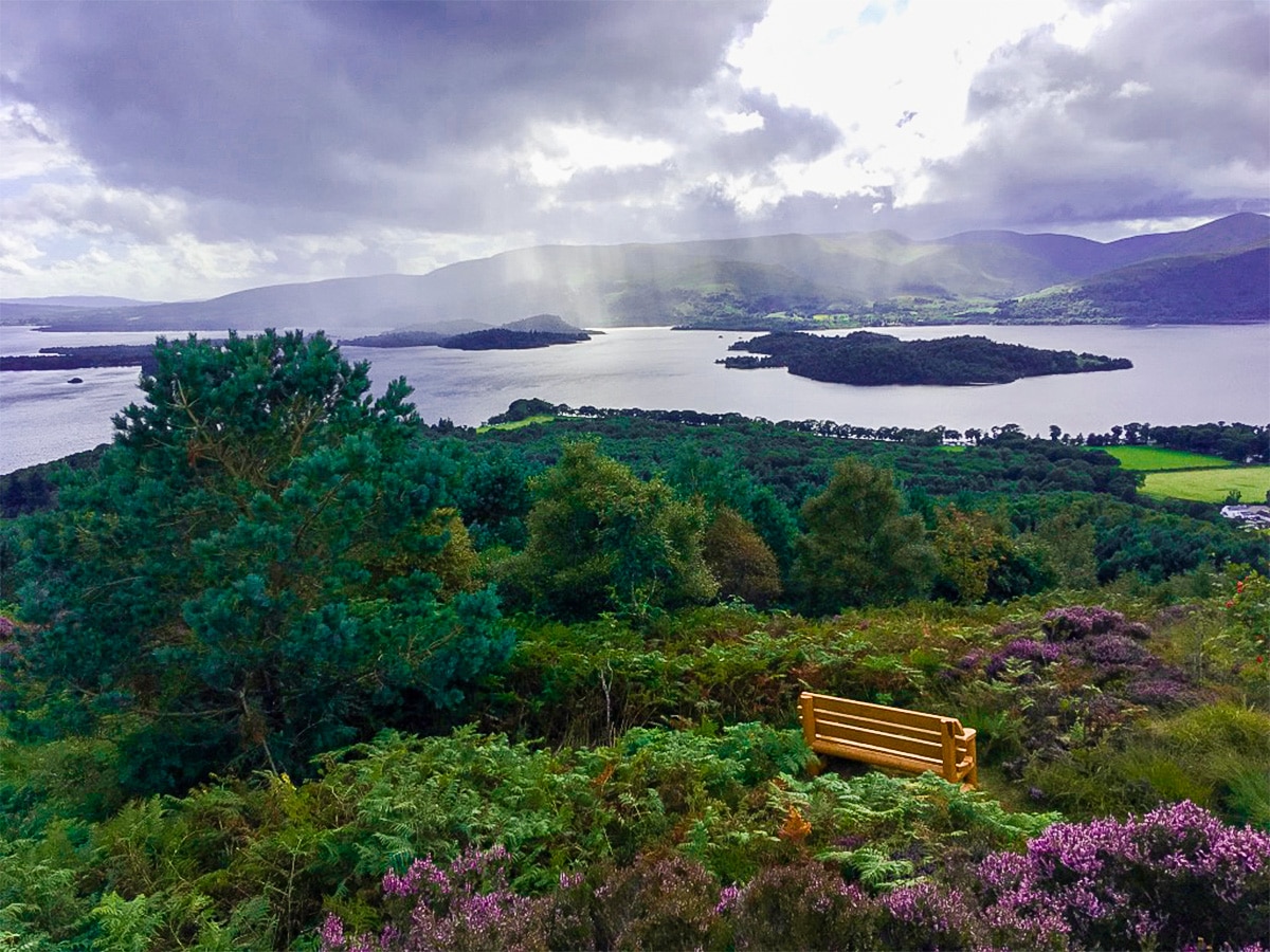 Viewpoint views to the south on Cashel Forest hike in Loch Lomond and The Trossachs region in Scotland