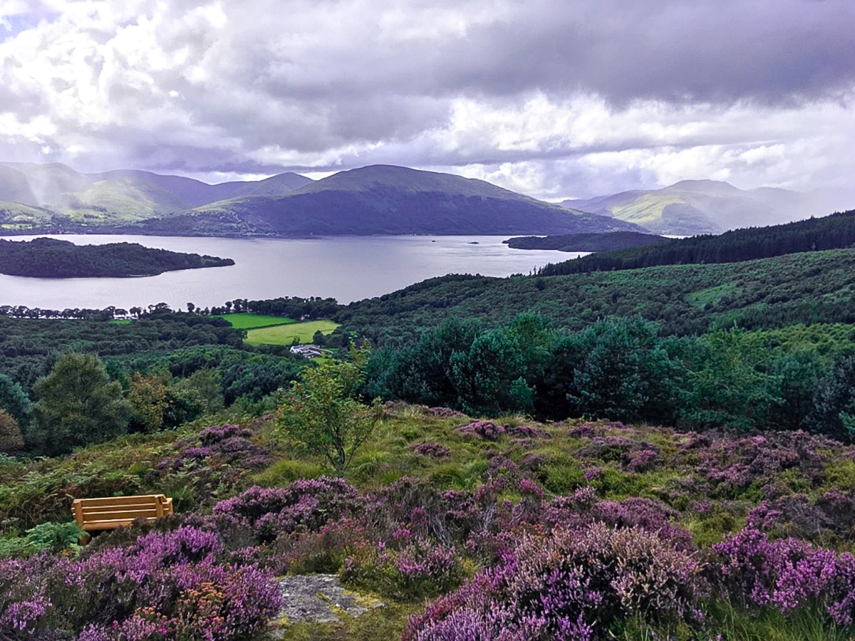 Viewpoint views to the north of Cashel Forest hike in Loch Lomond and The Trossachs region in Scotland