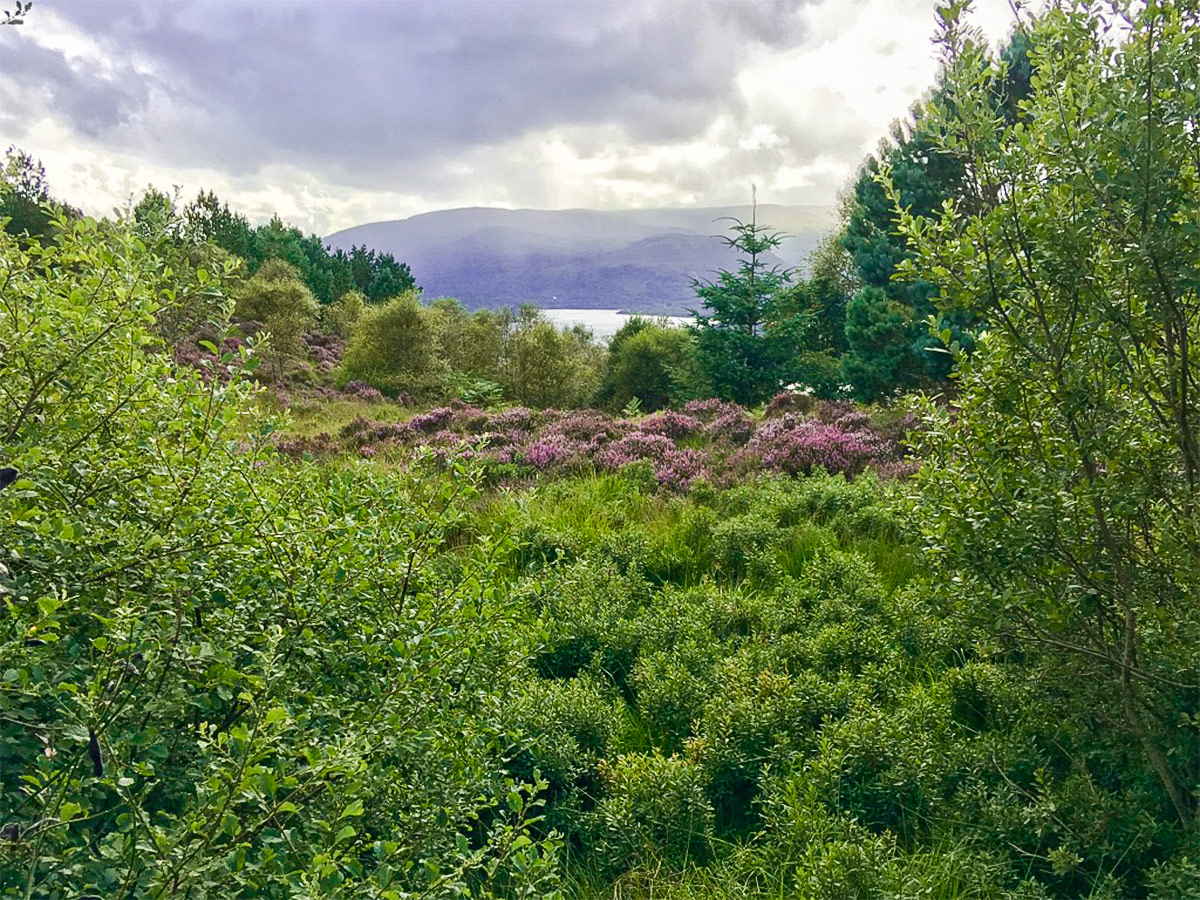 Loch Lomond on Cashel Forest hike in Loch Lomond and The Trossachs region in Scotland