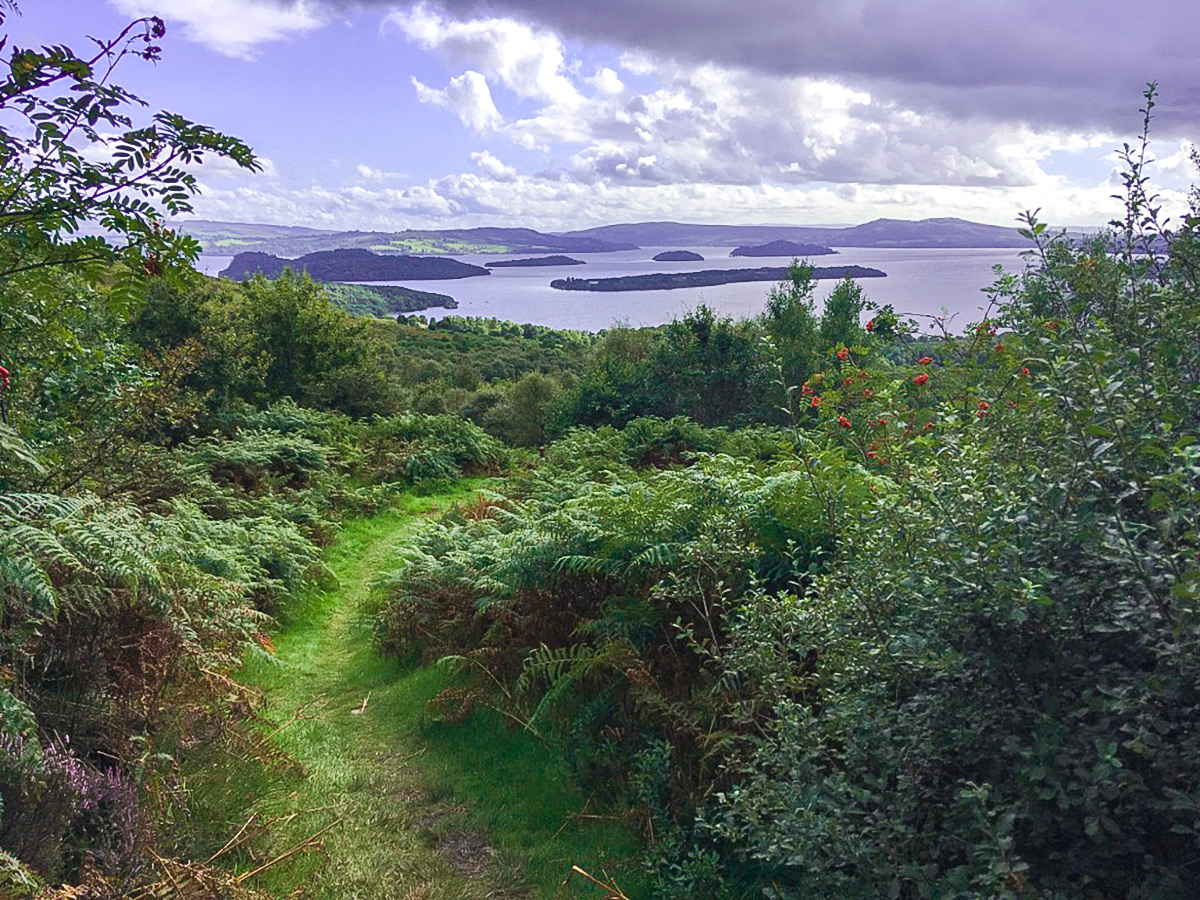 Scattering islands on Loch Lomond on Cashel Forest hike in Loch Lomond and The Trossachs region in Scotland