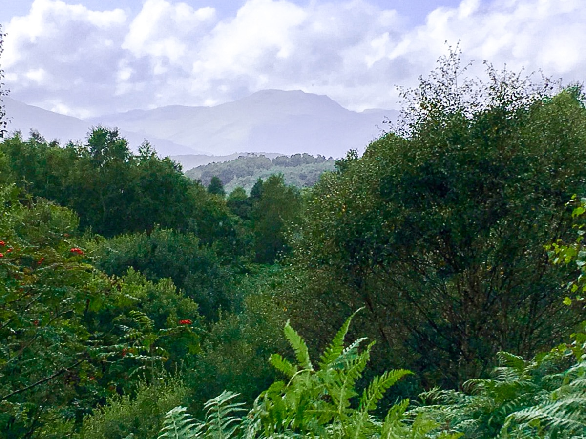 Arrochar Alps on Cashel Forest hike in Loch Lomond and The Trossachs region in Scotland